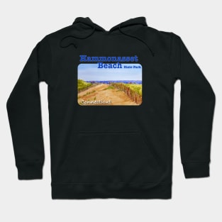 Hammonasset Beach State Park, Connecticut Hoodie